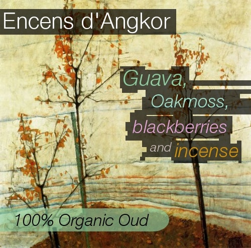 Encens d'Angkor