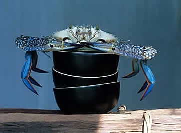 Kep Crab