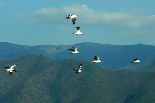 Artist: Hla Myint Swe, Myanmar, Photography