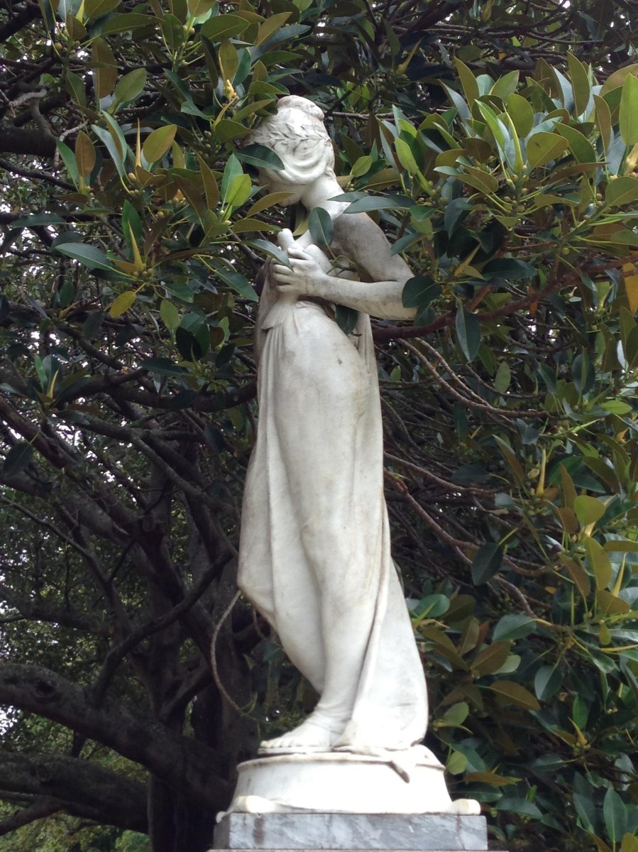 Carlos Huber Auckland New Zealand