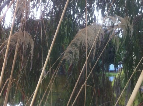 St Andrews Escape Havelock North Reading nook