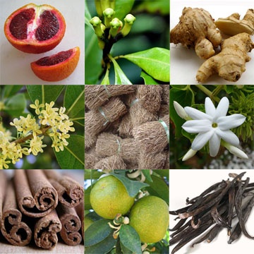 Sonoma Scent Studio Spiced Citrus Vetiver