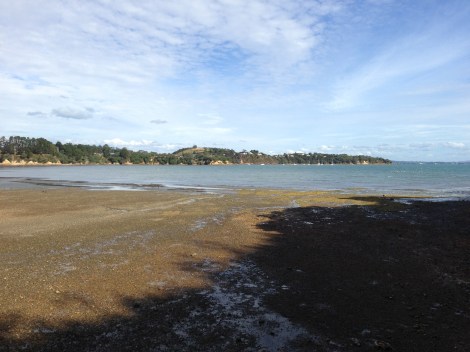 Arquiste Carlos Huber The Fragrant Man Waiheke