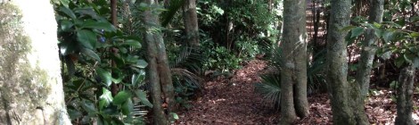 Carlos Huber Arquiste Waiheke The Fragrant Man