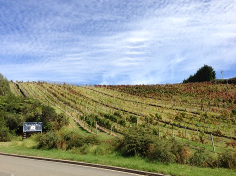 Carlos Huber Waiheke Island The Fragrant Man Arquiste