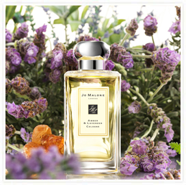 the fragrant man jo malone amber lavender