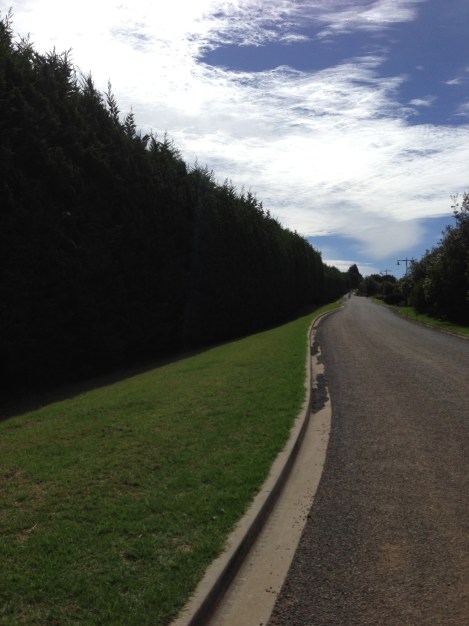 The Fragrant Man Carlos Huber Arquiste Wa