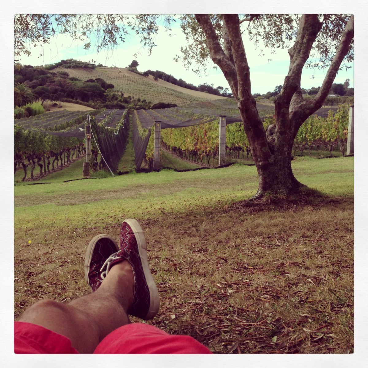 Carlos Huber Waiheke Island The Fragrant Man Arquiste