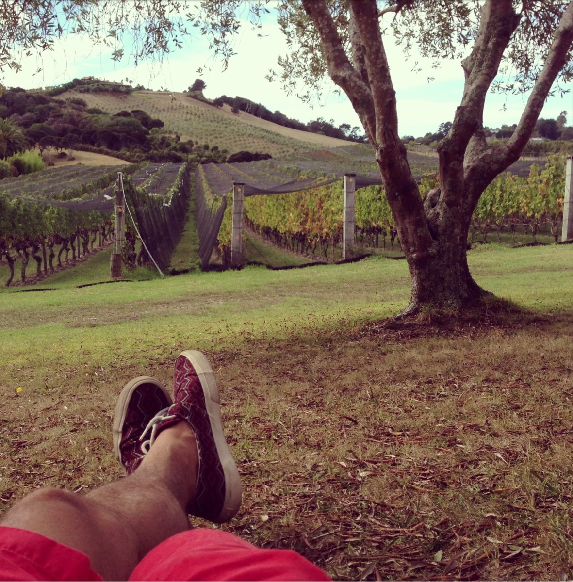 Carlos Huber Waiheke Island Arquiste The Fragrant Man