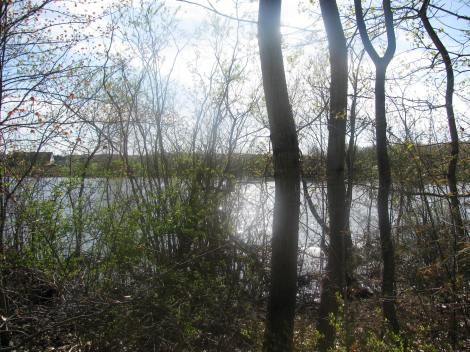 Jour Sonoma Scent Studio