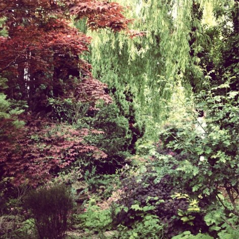 A garden in Grasse.  Photo: Saskia Havekes