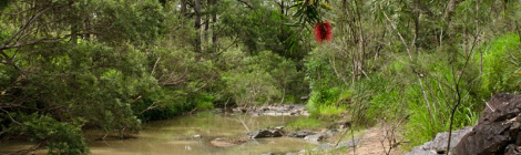 the fragrant man thefragrantman