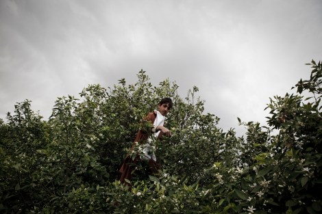 Photo: The 7 Virtues