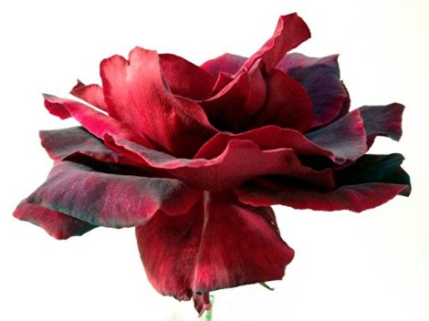 !cid_imageE86E1BC7-C815-46CB-A95B-C749FC1D614B adjusted