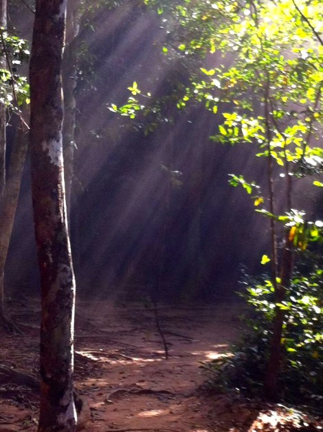 390941_10150472557403105_459983540_n-2