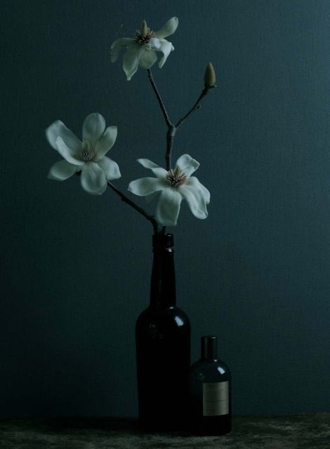 FragranceMagnolia