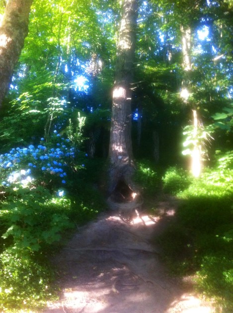 46C9E410-5723-4C5D-8FF1-CB2A277386D3