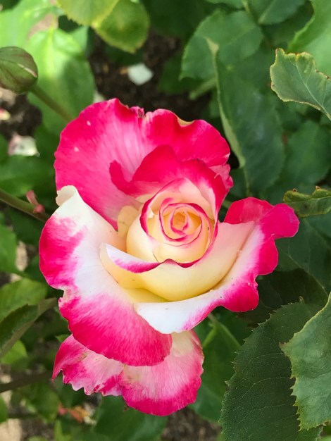 57326A28-9E4F-4F59-9434-38B799CB7045