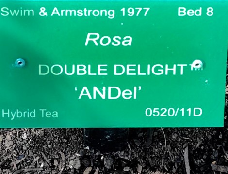 61002CF5-DF7B-4225-AC5F-303AA1288EB8