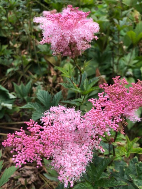 A58B1E63-E023-4CFB-90B1-72A409FB6F1F