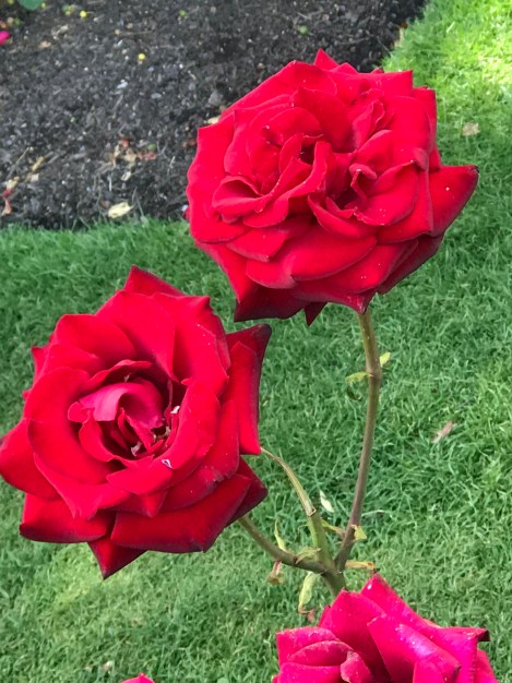 ABA33F10-FD3E-4C75-8EF6-2FAE111C3E19