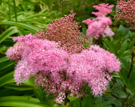 B26C1468-D754-4DE5-ABB1-D293F689C34E