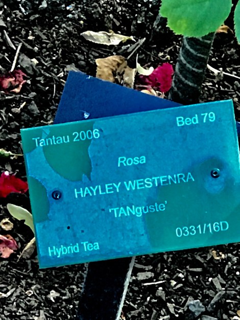 B3196968-A204-4E49-BE2D-0E08BDD45EA4