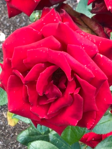 C03AFD34-3D80-46D8-A730-343078A3E9C8