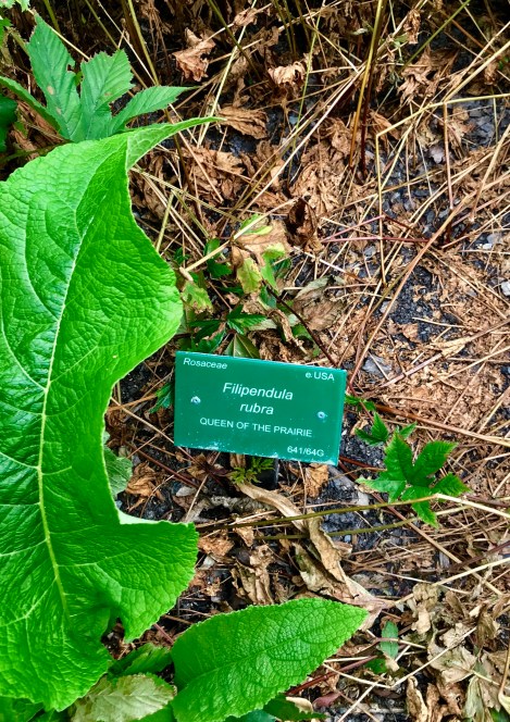 D1AE3125-F886-439D-8084-EE9D3570A6C4