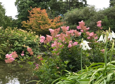 EE49D7F7-480F-419A-A4F0-CA51483C74C8