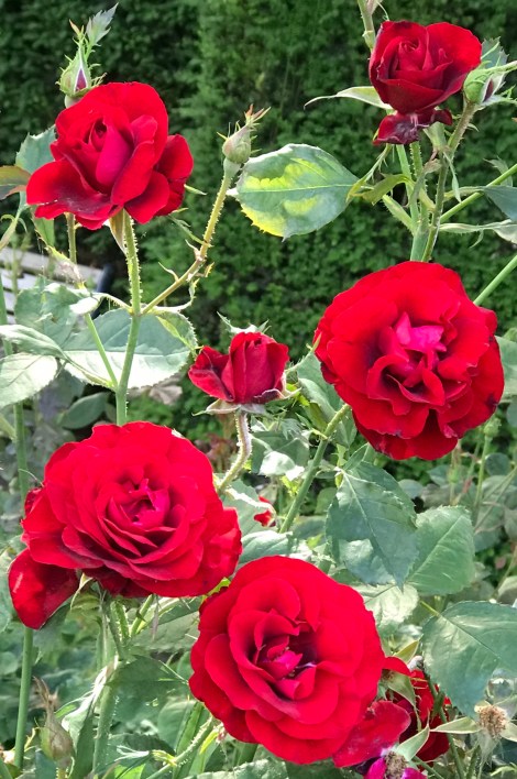 F9BB01A3-319F-4816-9EE2-2C9C7723BBE1