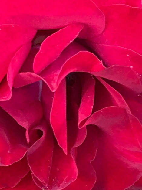 FEE30A34-1342-4112-A33F-1BA00B661765